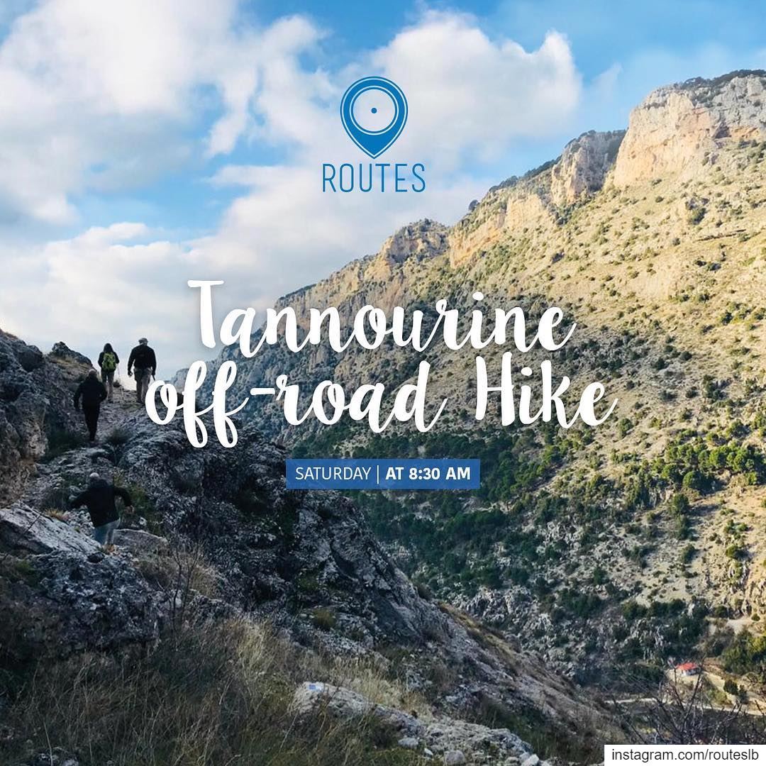 We chose Tannourine as our last village discovery of 2018, with a 15km... (Tannourine Laqlouq)