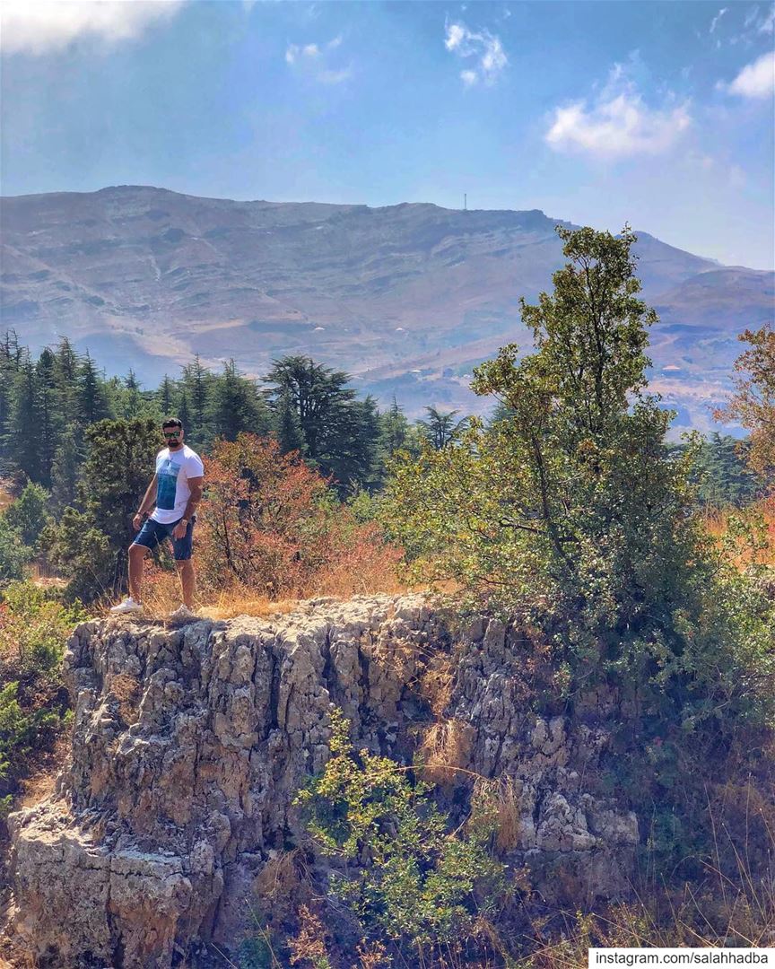 We escape to wilderness to be soothed and healed, and to have our senses... (Lebanon)