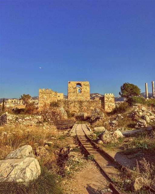 We going straight to the Wild Wild West 🤠 🤠🤠. jbeil  nature... (Byblos - Jbeil)