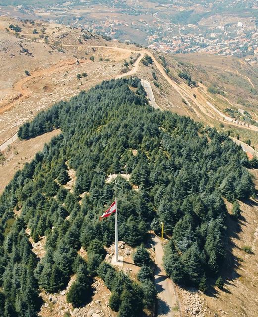 We had a country 75 years ago!!  happyindependenceday 🇱🇧🇱🇧 (Lebanon)