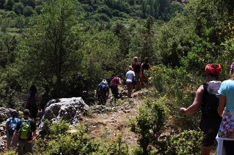 We had to walk a little bit to reach the interesting spots, but we enjoyed... (Hadath El-Jubbah, Liban-Nord, Lebanon)