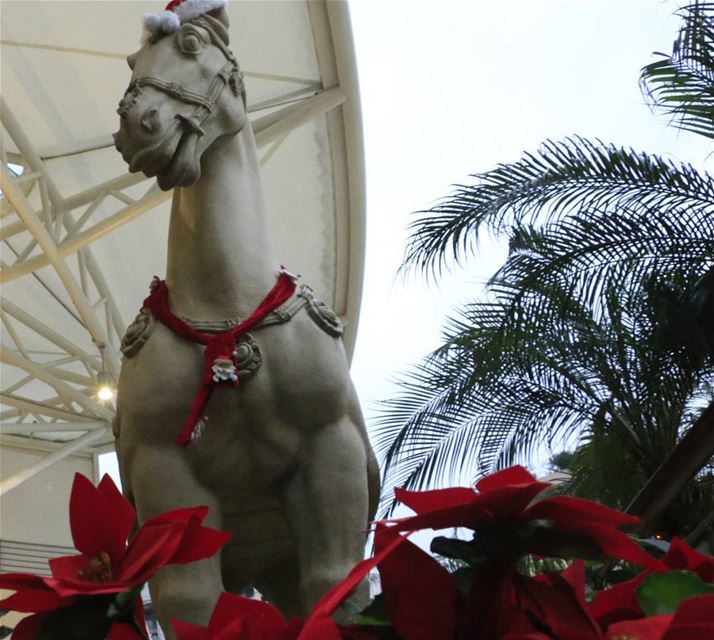 We have a guest for Christmas lunch:) thisislebanon79 ... (Abc Achrafieh)