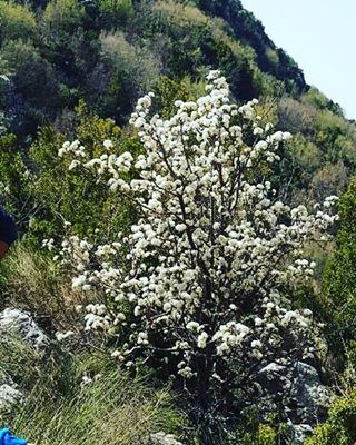 We hope you enjoyed your day in  JabalMoussa despite the unstable weather... (Jabal Moussa)