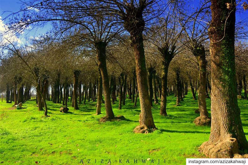 We know change when we see... (Taanayel- Bekaa)