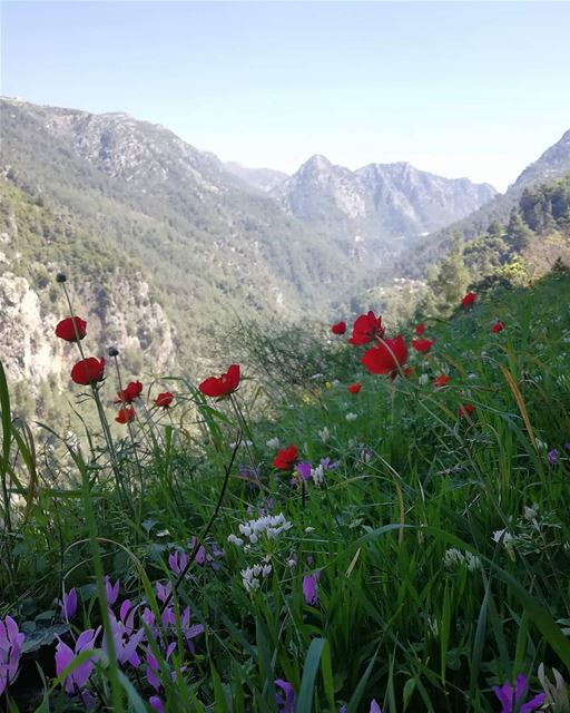 We live in a wonderful world. JabalMoussa  unescomab  unesco ...