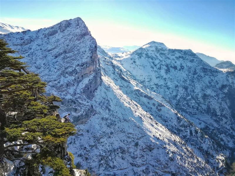 "We live only to discover beauty. All else is a form of waiting" ~G.K.Gibra (Cedar Reserve Tannourine)