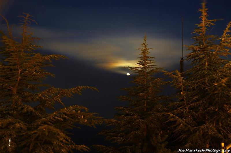We love the night and its quiet; and there is no night that we love so... (Annâya, Mont-Liban, Lebanon)