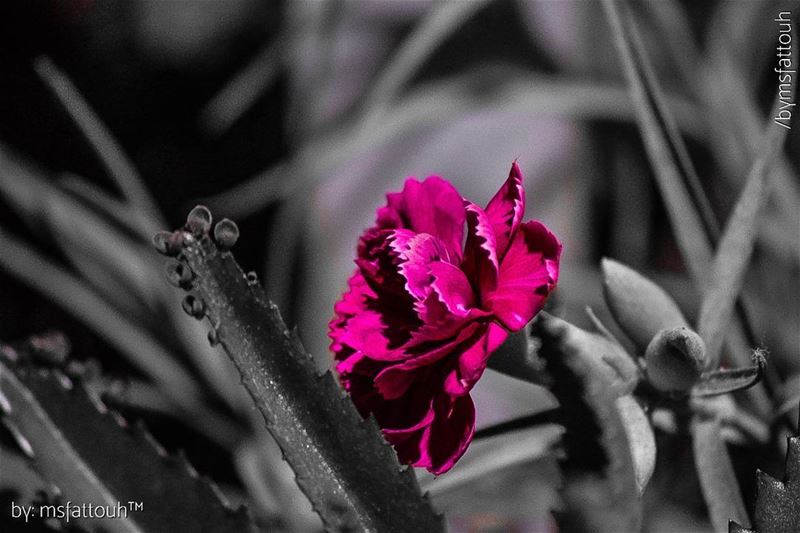 "We must accept finite disappointment, but never lose infinite hope." -...