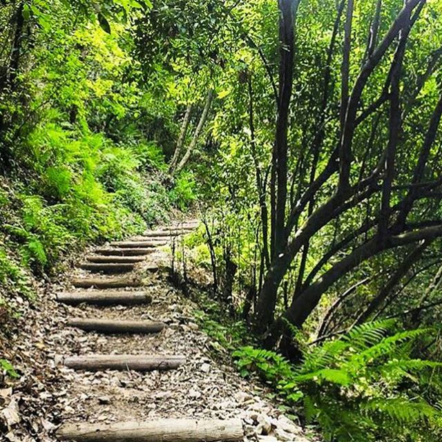 We truly have a beautiful heavenly nature to preserve!  togetherforlebanon... (Chouwen)