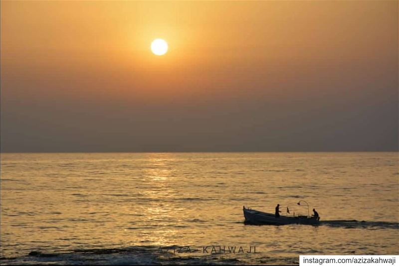 We will only understand the miracle of life fully when we allow the... (Tyre, Lebanon)