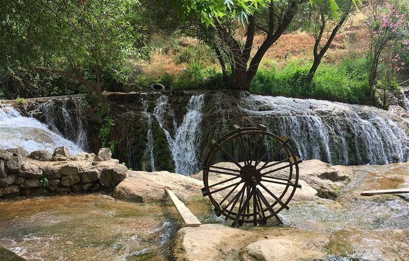 ✨...... wearelebanon  livelovelebanon  proudlylebanese  prolebanon ... (Naher Bakarzala)