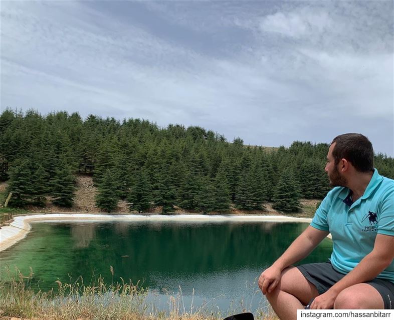 🌲...... wearelebanon  livelovelebanon  proudlylebanese  prolebanon... (Al Shouf Cedar Nature Reserve)