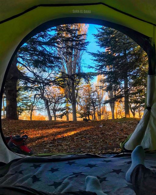 Wearing 2 pair of socks wasn’t enough! 🧦 Freezing cold ⛺️🏔 (Qanat Bakish, Mont-Liban, Lebanon)