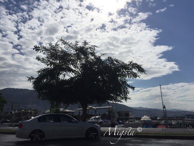  weather  clouds  tree  sun  lebanoninapicture  greatview  view ...