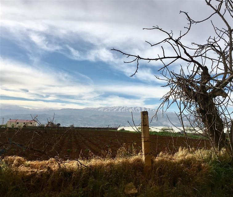Weather is sweet !  weather  weathernews  spring  cold  clouds  snow ... (Zahlé District)