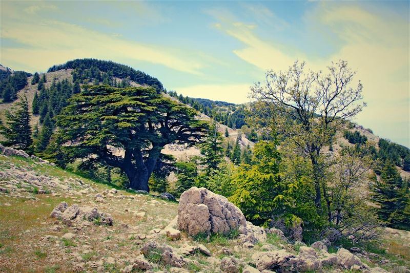 Weekend finally.. Mountain or Beach 😁 maybe both of them..  lebanon ...