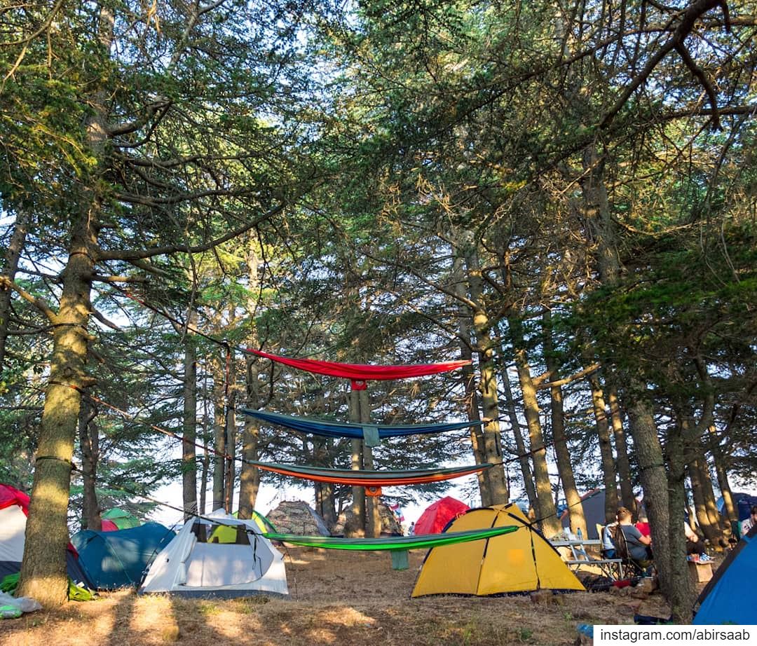 Weekend Goals be like.. ... lebanon  camping  campinglife ... (Hadath Al Jubbah, Liban-Nord, Lebanon)