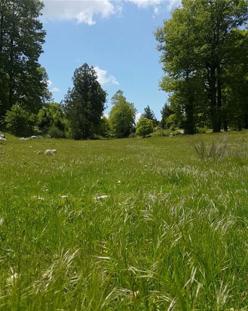 Weekend loading ...  lebanon  naturelovers  green  timelapse  beautiful ...