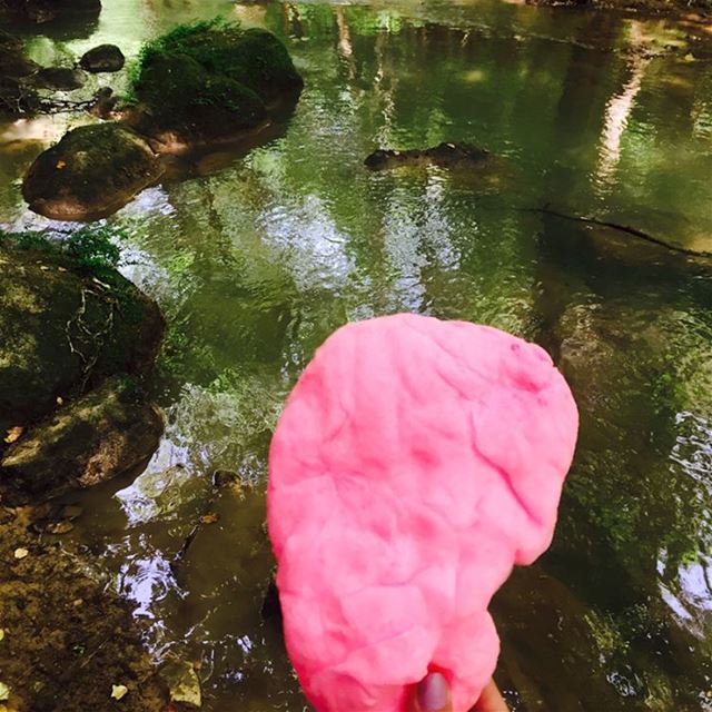  weekend nature river peace fun friends foodstyling foodtruck foodiegram... (Chouf)
