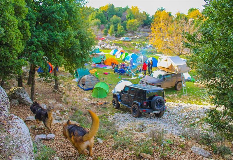 Weekends like these 🏕Wana join 👀 ... instagood  me  photooftheday ...