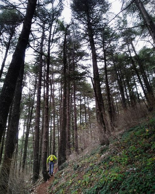 Weekly routine 🔰🌲________________________________ weekly  routine ... (Mount Lebanon Governorate)