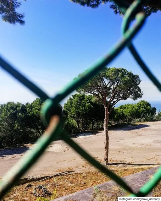 Welcome back dear sunny days💚🌞Morning🙋‍♂️... (Aïn Saâdé, Mont-Liban, Lebanon)