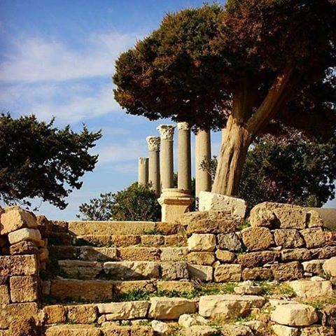 Welcome to the byblos castle...