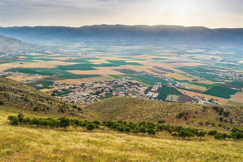 .West Bekaa as seen from Sultan Yaacoub!  livelovebekaa ..🌳🌳🌳🌳🌳🌳🌳 (West Bekaa)