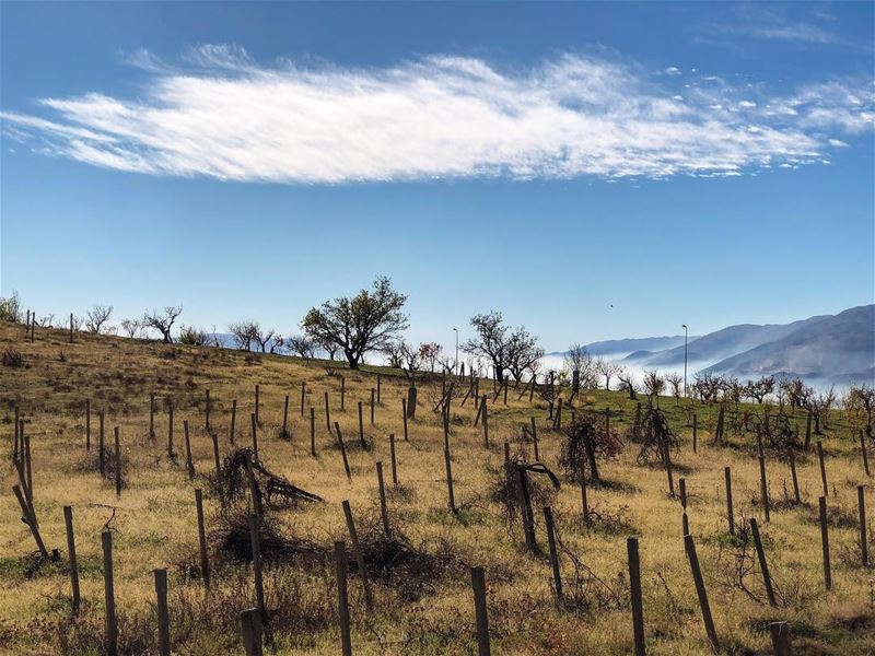 West Bekaa  nature  colors  surreal  landscape  mountains  skies ...