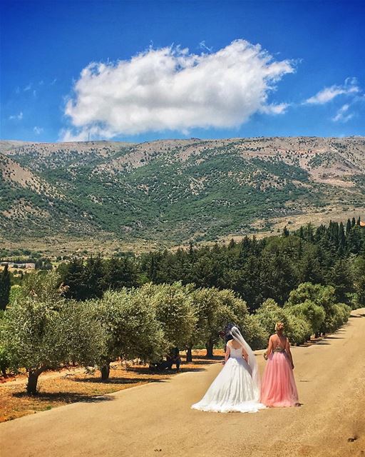 👰🏻🌤🌳 (West Bekaa)