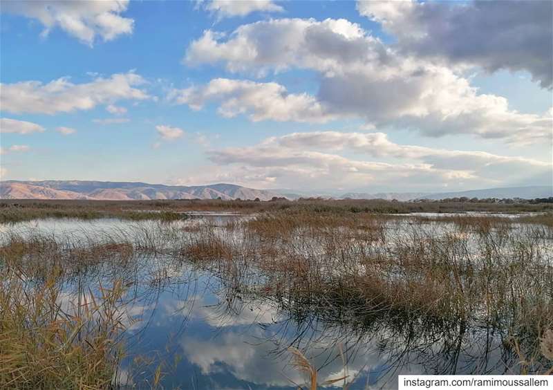  wetlands  ammiq  reflection  water  land  lebanon  clouds  bekaa ... (Aammiq, Béqaa, Lebanon)