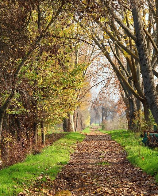 What a beautiful autumn 🍂 morning from  taanayel 🍂🍃🍂 great shot by @are (Deïr Taanâyel, Béqaa, Lebanon)