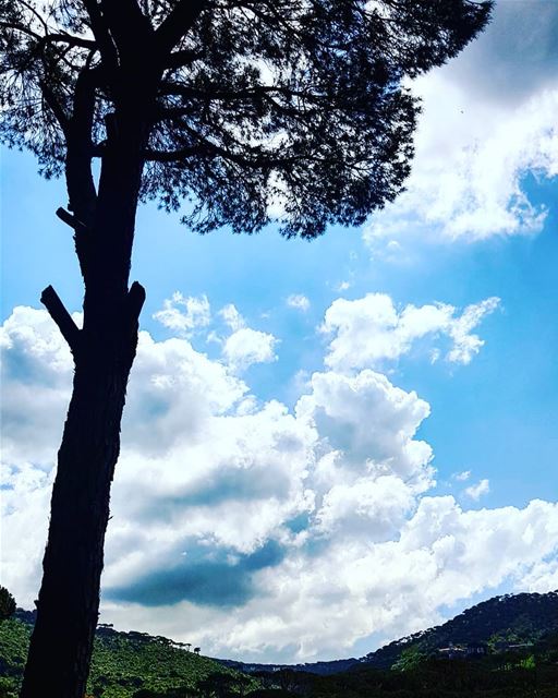 What a beautiful day !!! Nature is drawing curves and shapes...just love...