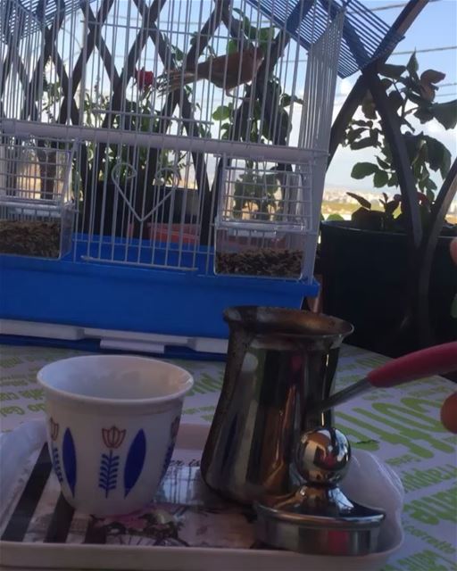 What a beautiful morning  september  lebanon 🍂🍁🍂 رجع أيلول وإنت بعيد 💙�