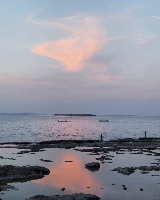 What a beautiful reflection.....Pinky pinky all the way! طرابلس  لبنان... (طرابلس - الميناء)