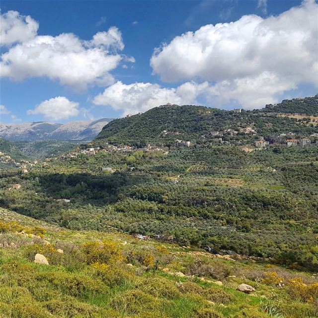 What a beautiful Sunday morning 🌿☀️🌿 photo by @areejkh_photo 🌳🇱🇧🌳 ... (El Kahloûnîyé, Mont-Liban, Lebanon)