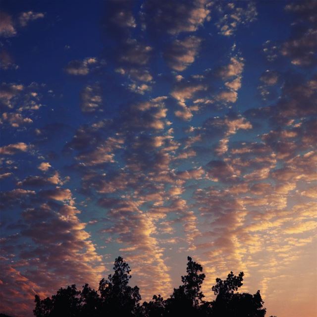 What a cloudy day !!  clouds  pattern  blue  sky  nuage  ciel  sunset ...