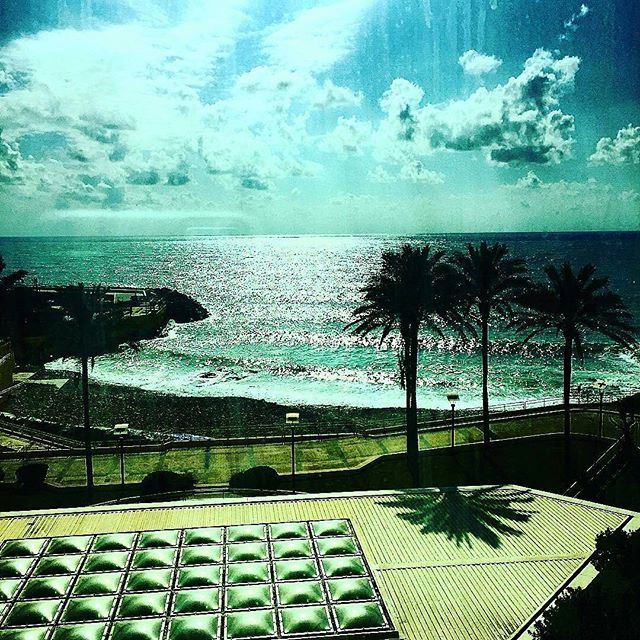 What a view 🌴🏊 (Mövenpick Beirut)