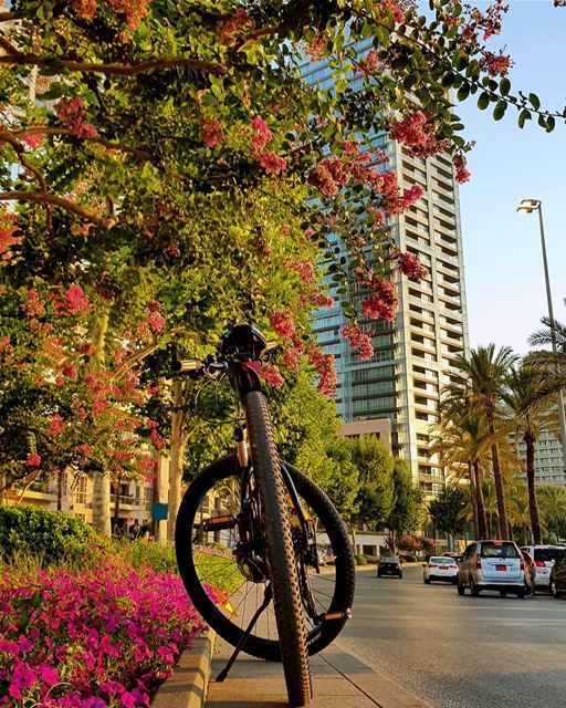 What do you need more.. grateful🚲🌺🍃🍃 today  everyday beirut july... (Zaitunay Bay)