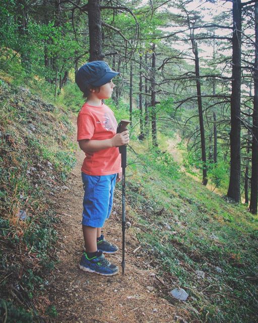 What do you pass on? .. thediscoverer  wildernessculture ... (Al Shouf Cedar Nature Reserve)