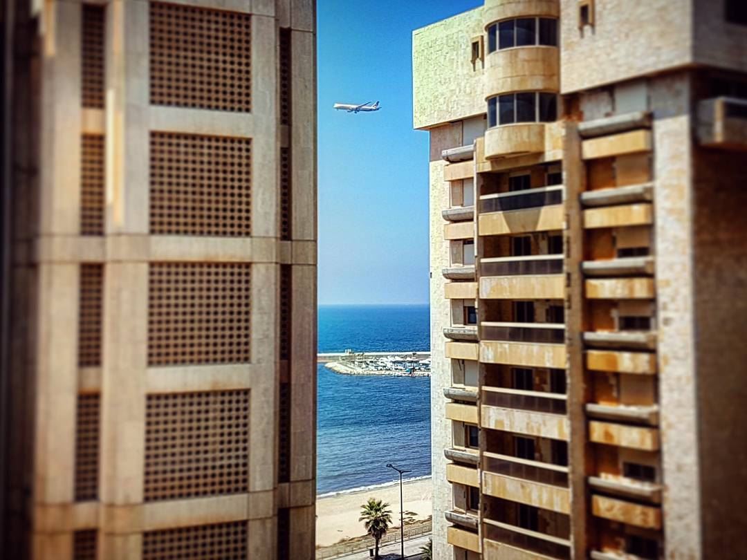 What Flies Between  mediterranean  days  ramletelbayda  beirut  lebanon ... (Beirut, Lebanon)