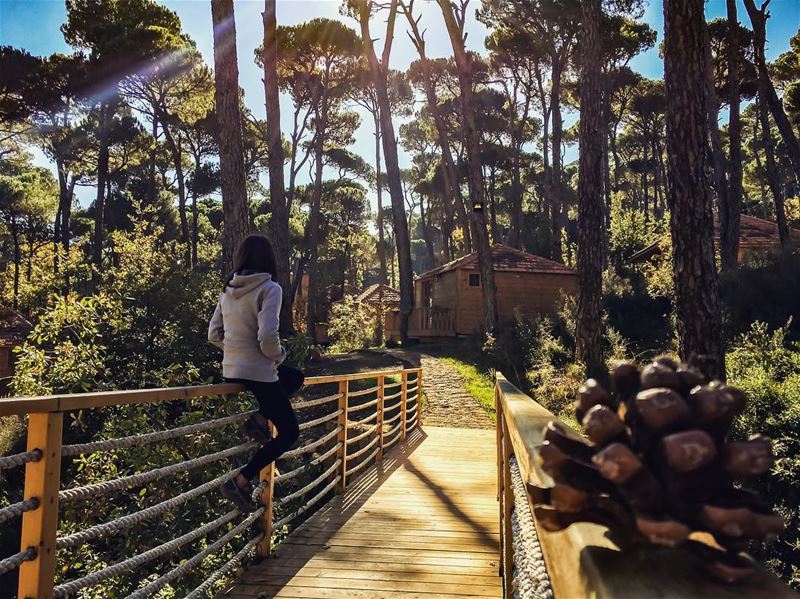 What I desperately need right now ☝🏻💆🏻‍♀️.......... lebanon ... (La Maison de la Forêt)