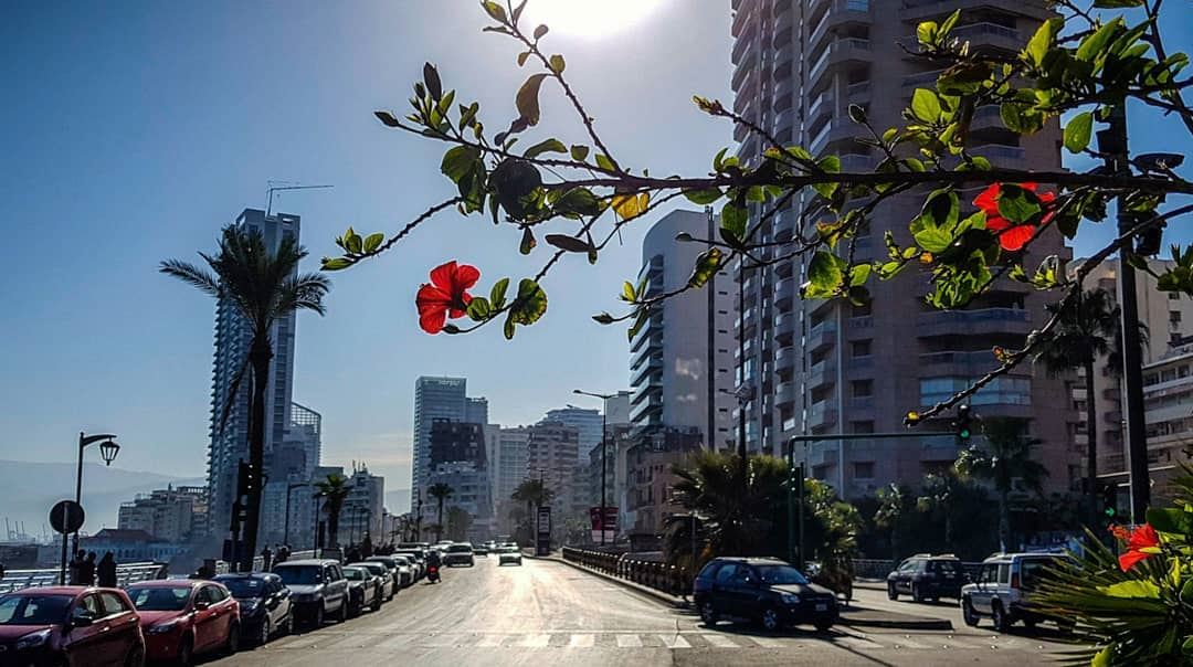 What if cars disappear..And traffic lights convert into flowers and... (Beirut, Lebanon)
