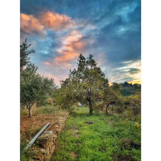 What makes you different, makes you beautiful💚 (El-Kour, Liban-Nord, Lebanon)