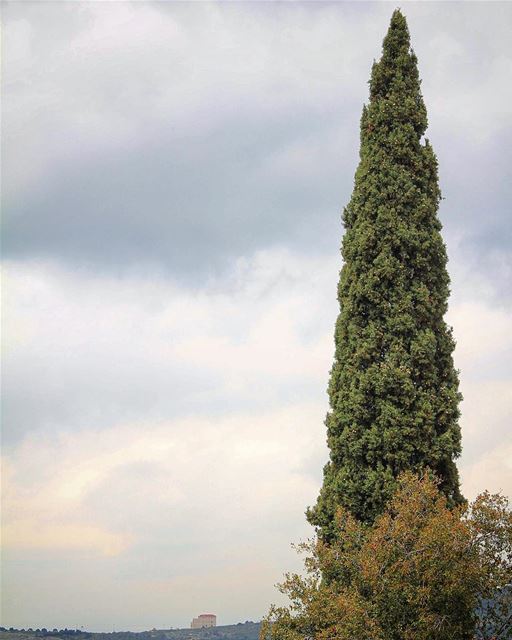 What matters where you live, is how much you grow. beinovillage  sky ... (Beïno, Liban-Nord, Lebanon)