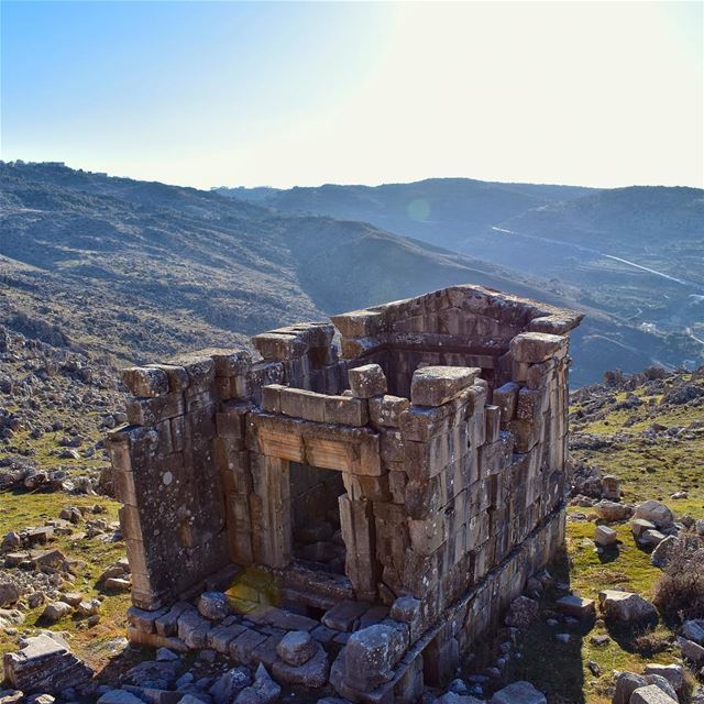 What remains is not the total design, but the clarity of thought, the... (Ain Harcha)