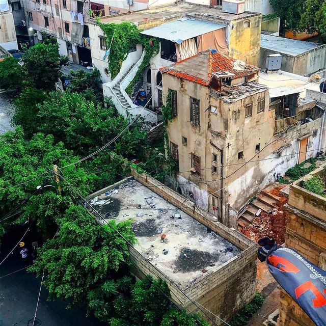 “What’s old collapses, times change, and new life blossoms in the ruins” ... (Beirut, Lebanon)