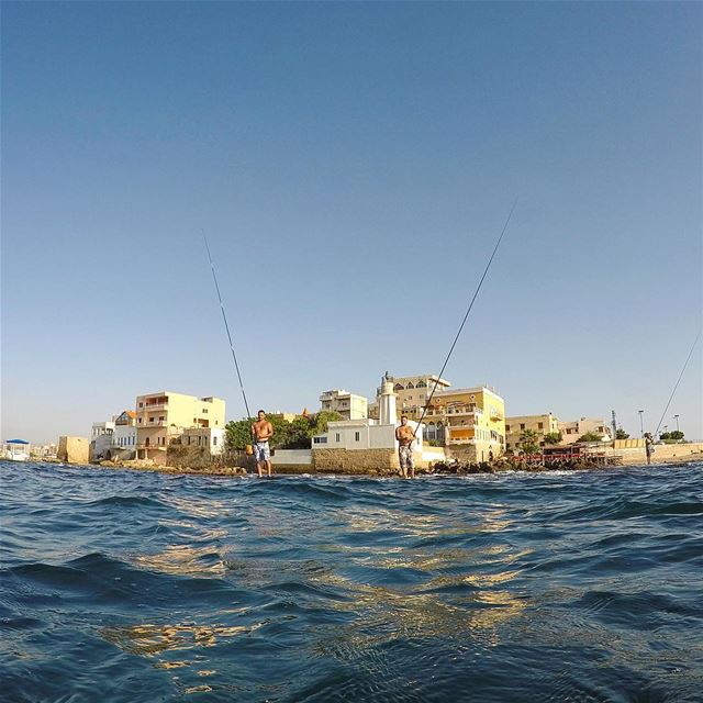 What's up fishermen?! 🌞🌊🎣 (Tyre, Lebanon)