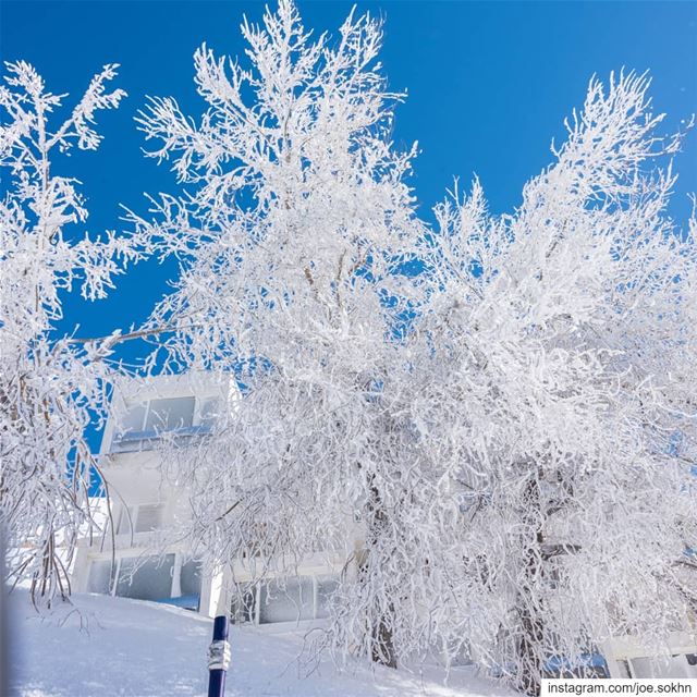 What to expect after the storm🇱🇧💙❄🌩💙🇱🇧....... lebanon ... (Mzaar Ski Resort Kfardebian)