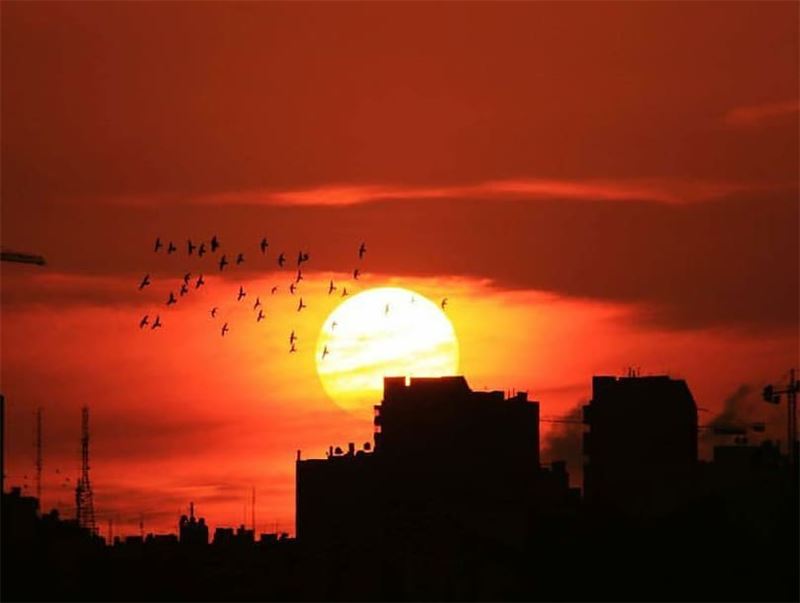 What u really want will never come easy... sunsetvision sunsetlovers...